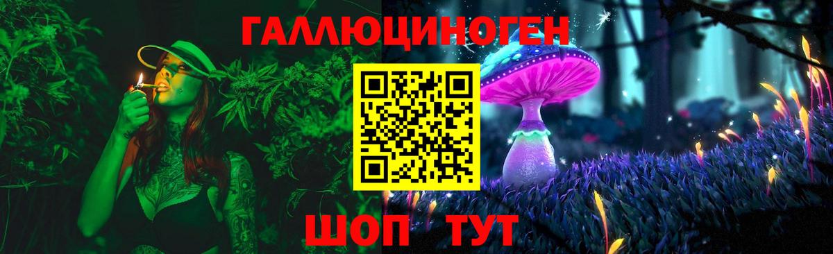 Галлюциногенные грибы Psilocybine cubensis  Вход с VPN  Гулькевичи 